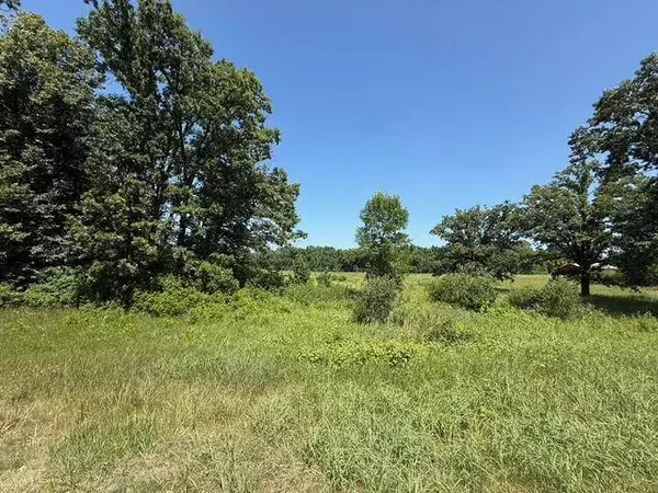 tbd Azalea RD, Motley Twp, MN 56466
