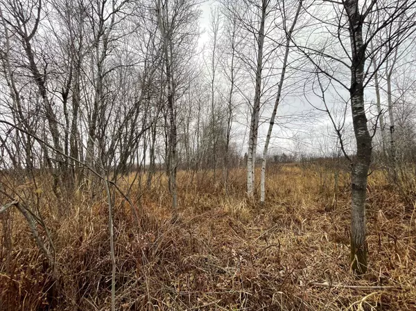 TBD Olson RD, Hinckley, MN 55037