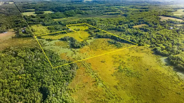TBD Olson RD