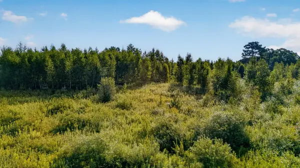 TBD Olson RD, Hinckley, MN 55037