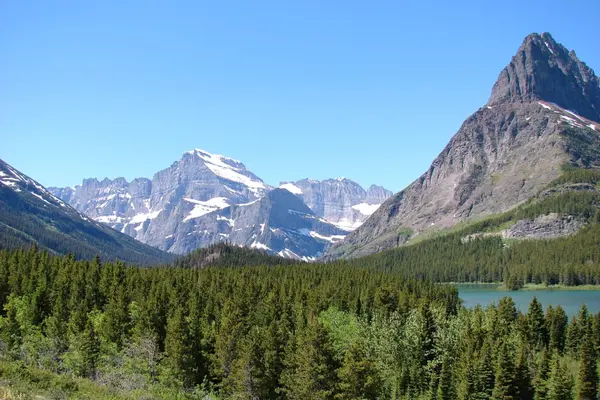 Fast-Growing Brokerage ADT Realty Expands to 28 States While Emphasizing Agent Training Over Paid Leads