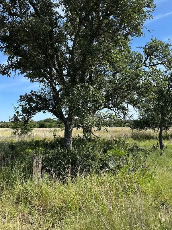 123 Lipan Loop, Harper, TX 78631