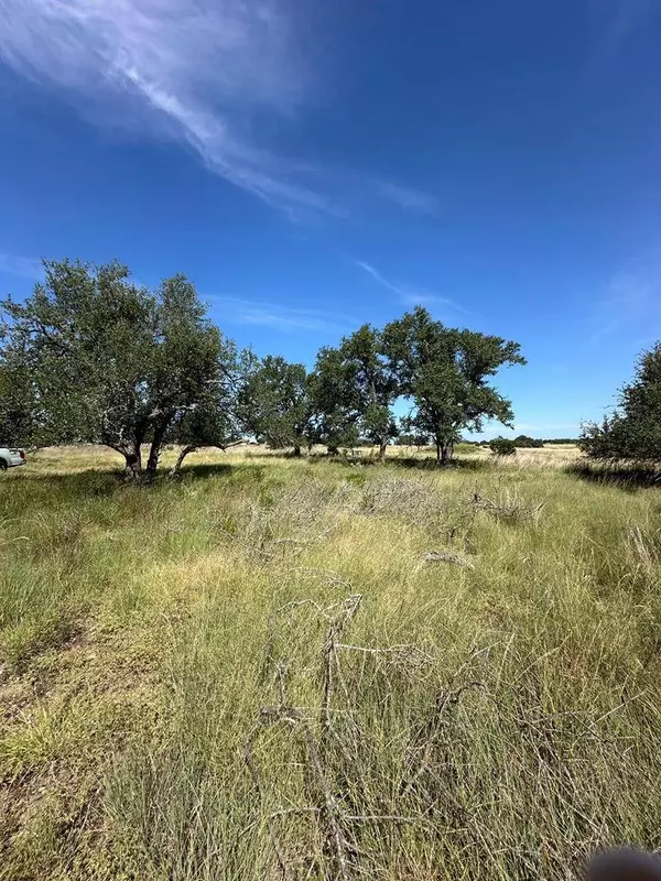 123 Lipan Loop, Harper, TX 78631