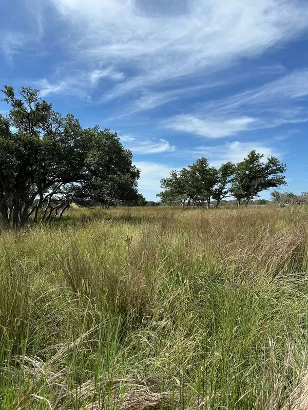 123 Lipan Loop, Harper, TX 78631