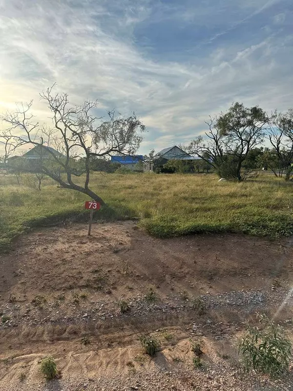 73 Ale Ct, Fredericksburg, TX 78624