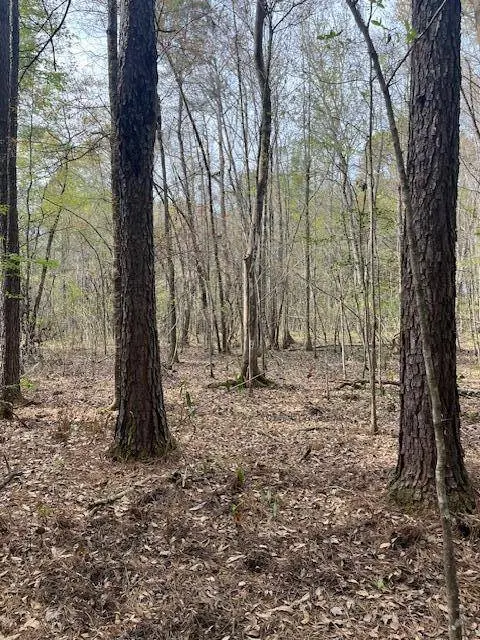 0 Palm St, Reevesville, SC 29471