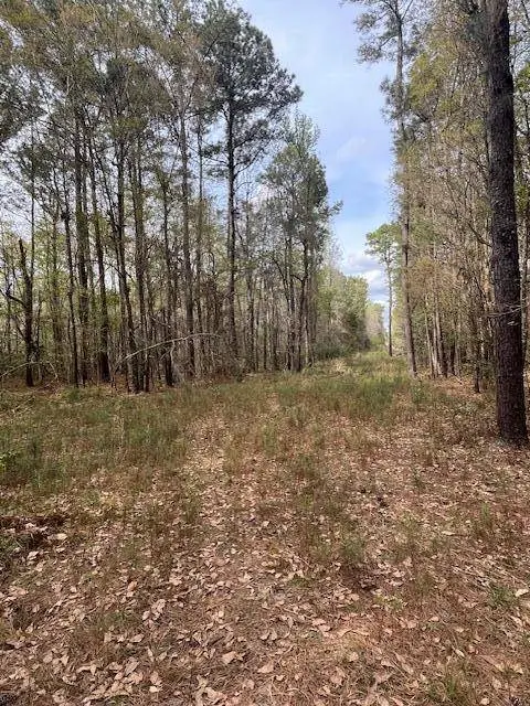 0 Palm St, Reevesville, SC 29471