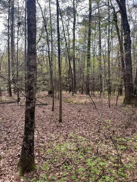 0 Palm St, Reevesville, SC 29471