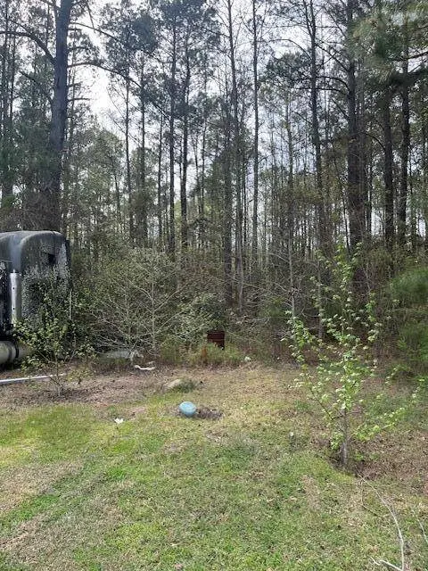 0 Palm St, Reevesville, SC 29471