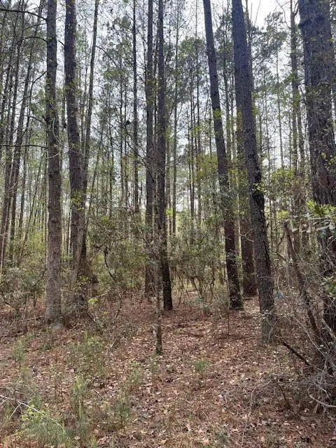 0 Palm St, Reevesville, SC 29471