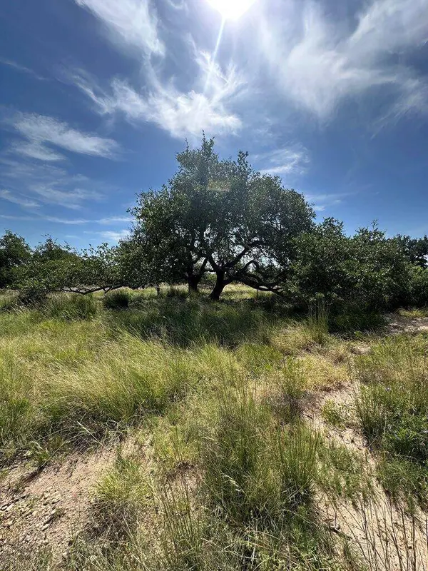 123 Lipan Loop, Harper, TX 78631