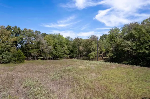 TBD NE CR 2060, Mt Vernon, TX 75457