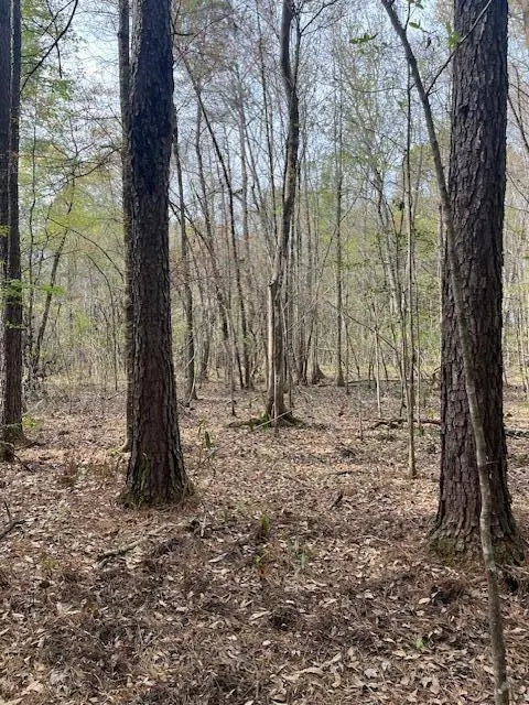 0 Palm St, Reevesville, SC 29471