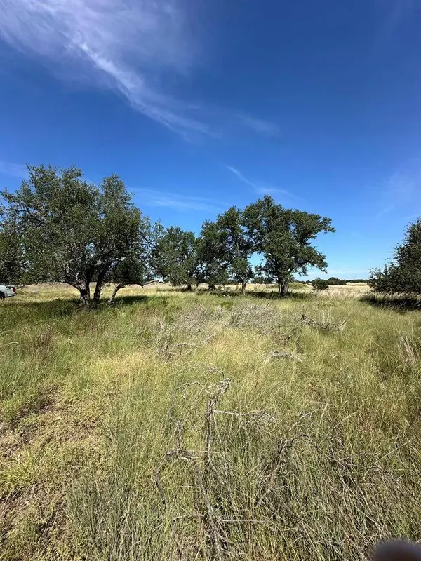 123 Lipan Loop, Harper, TX 78631