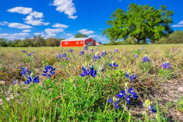 125 Headwaters Ranch, Mountain Home, TX 78058