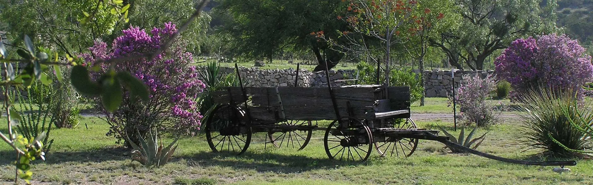 Ozona