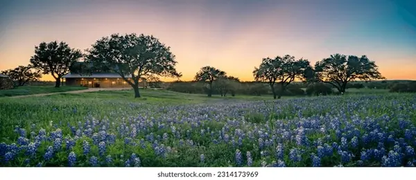 Country Homes / Acreage Living