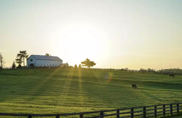 Screenshot 2025-11-19 at 5.22.48 PM