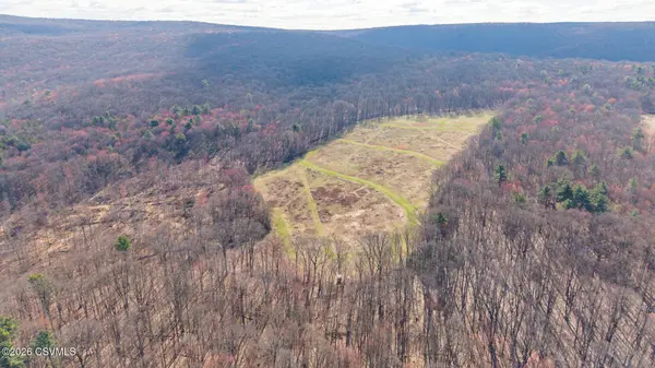 169 VIVIAN LN, Catawissa, PA 17820