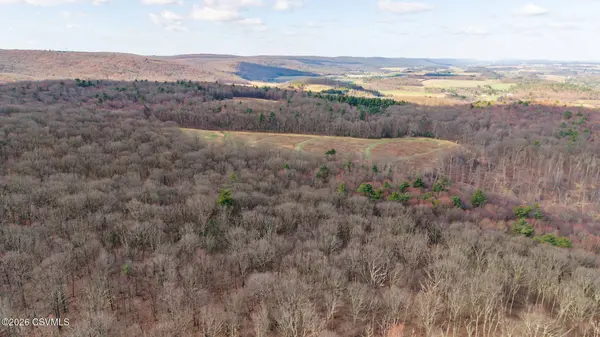 169 VIVIAN LN, Catawissa, PA 17820