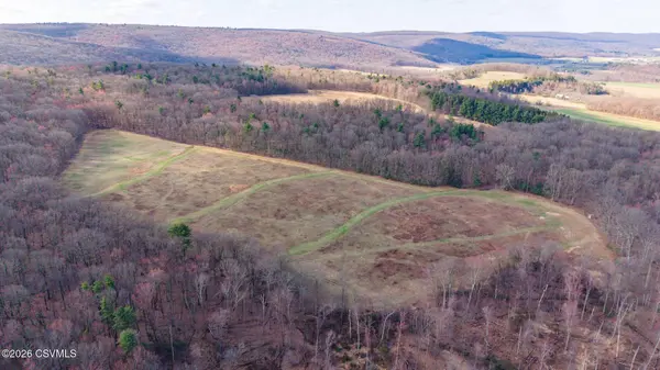 169 VIVIAN LN, Catawissa, PA 17820