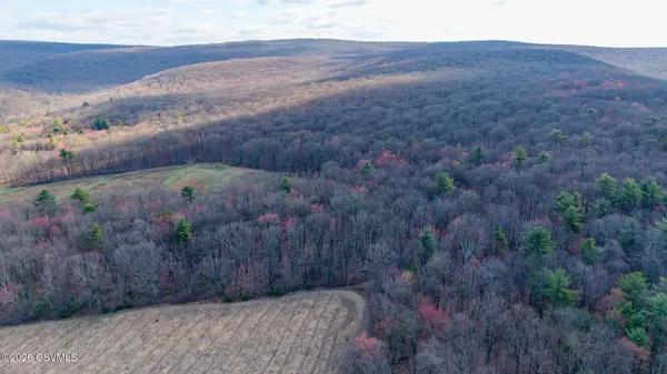 169 VIVIAN LN, Catawissa, PA 17820