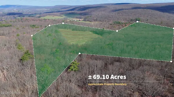 169 VIVIAN LN, Catawissa, PA 17820