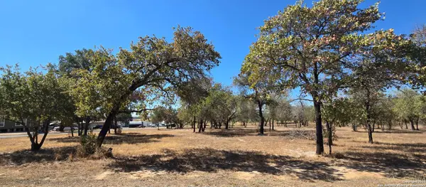 CB 4163A Redfern Drive Lot #113, San Antonio, TX 78264