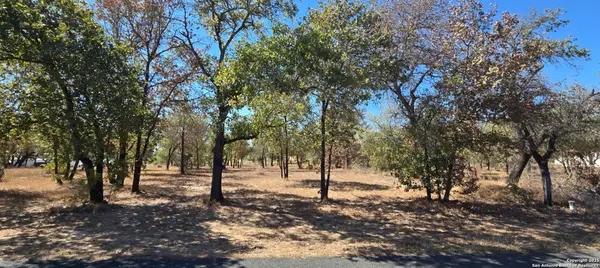CB 4163A Redfern Drive Lot #113, San Antonio, TX 78264