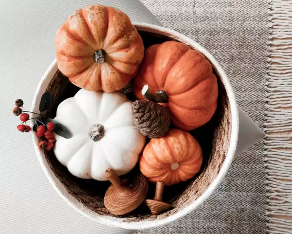 Catch the Cozy: Fall Decor Trends You’ll Love,Julie McCormick