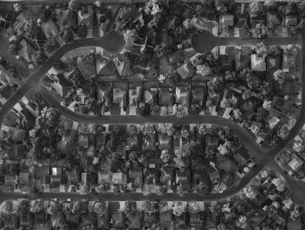 Neighborhood Spotlight: Austin, Texas – Schools, Real Estate, and Community Vibes,DMTX Admin