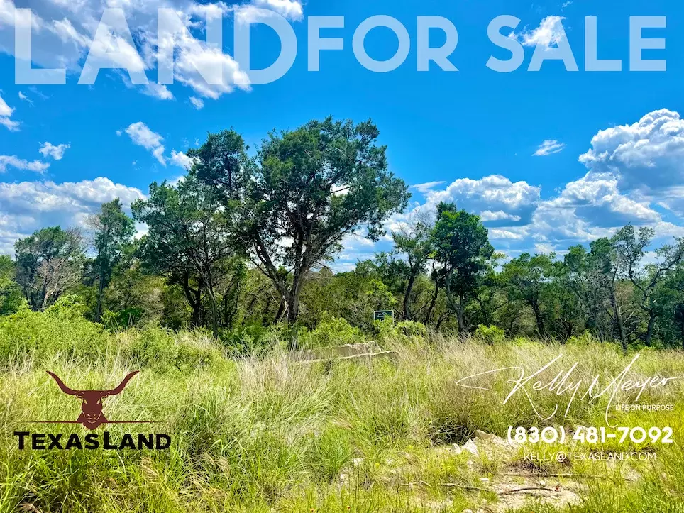 Mico, TX 78056,Private Rd 2771 #LOT 2, UNIT 4