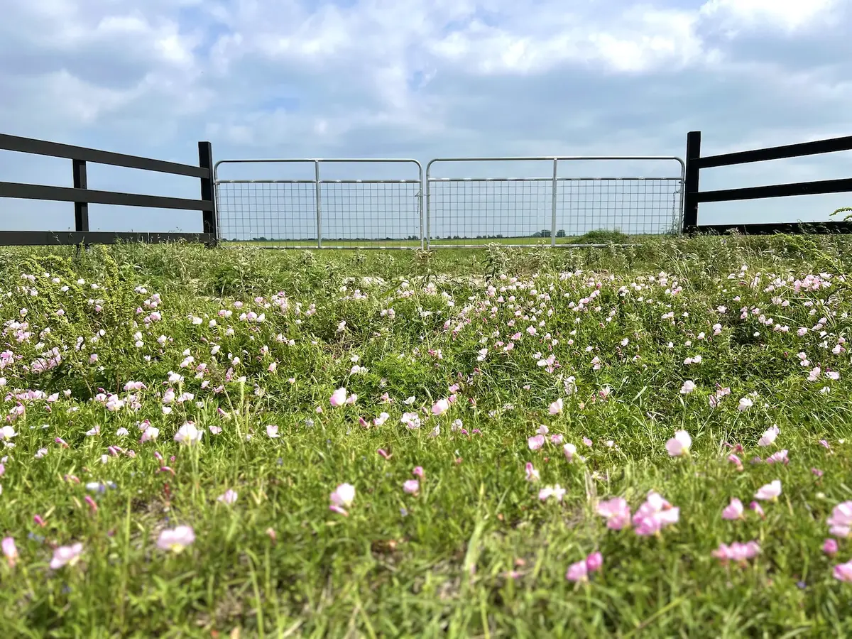 1359 McDonald Rd, Eagle Lake, TX 77434