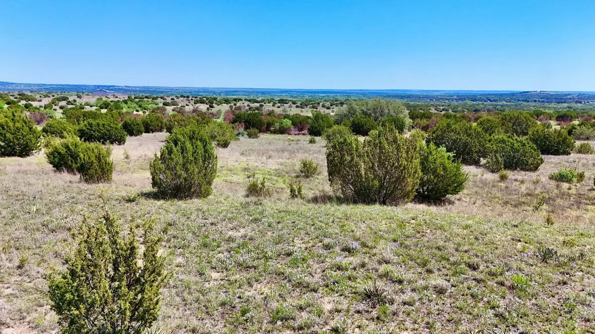 0000 East Farm To Market 581 Lometa, Tx 76853,