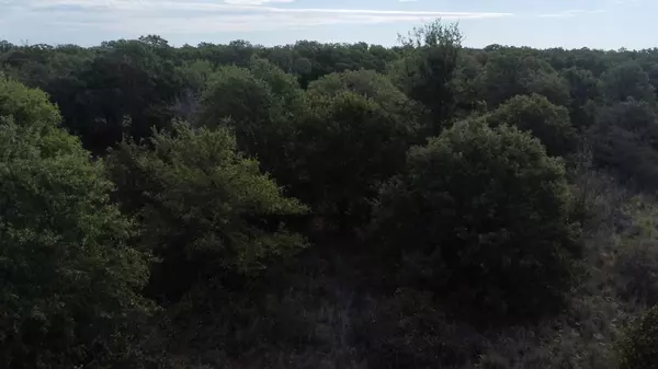 Graham, TX 76450-6237,1685 Rocky Mound Rd