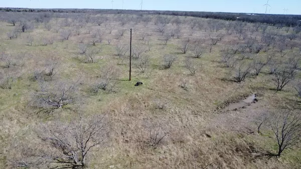 111 Acres Between Mount Calm and Hubbard Texas