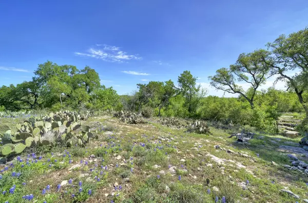 Spicewood, TX 78669-6613,25812 Red Brangus Rd