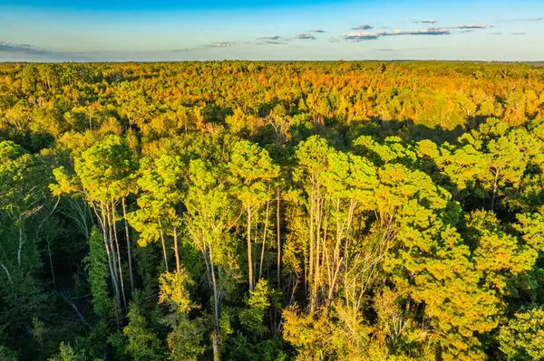 Chandler, 75758,TBD CR 3411 #Lake Palestine Ranch