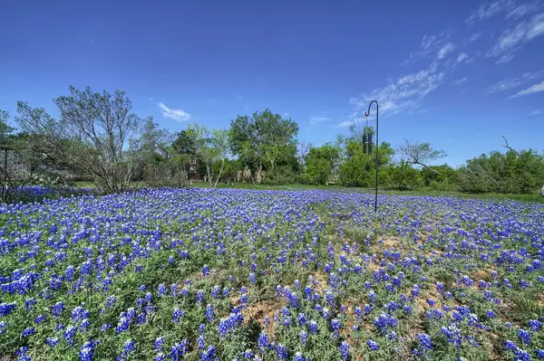 Spicewood, TX 78669-6613,25812 Red Brangus Rd