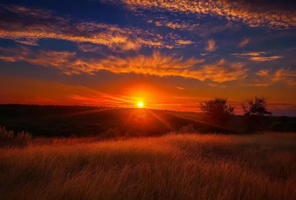 Hye, TX 78635,Gibson Best Rd