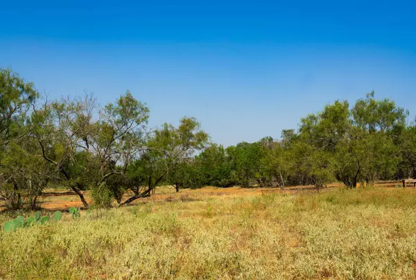 Spicewood, TX 78669,Old Ferry Rd