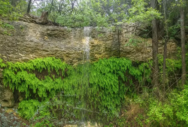 Leander, TX 78641-9403,12516 Wire Rd