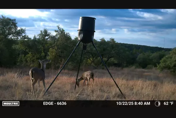 Leander, TX 78641-9403,12516 Wire Rd