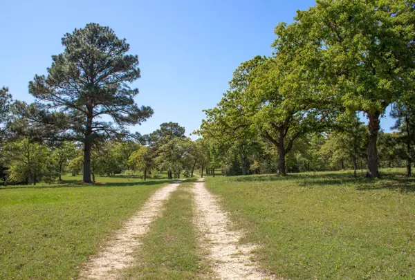 Red Rock, TX 78662-2653,490 John Craft Rd