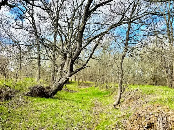 1118 County Road 447, Waelder, TX 78959