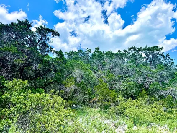 Mico, TX 78056,Private Rd 2771 #LOT 2, UNIT 4