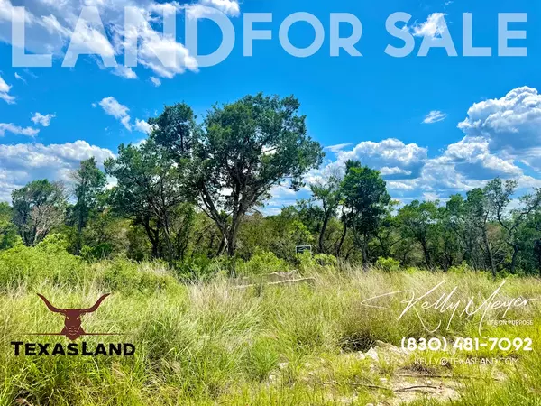 Private Rd 2771 #LOT 2, UNIT 4, Mico, TX 78056