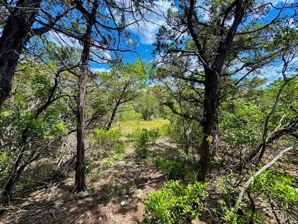 Mico, TX 78056,Private Rd 2771 #LOT 2, UNIT 4