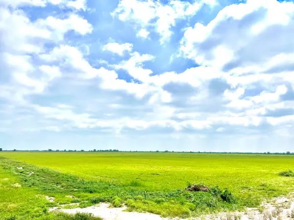 1359 McDonald Rd, Eagle Lake, TX 77434