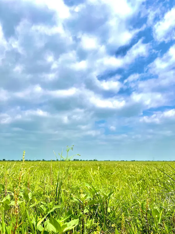 1359 McDonald Rd, Eagle Lake, TX 77434